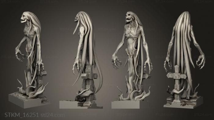 Figurines heroes, monsters and demons (Wraith Kings Whispering Guard, STKM_16251) 3D models for cnc