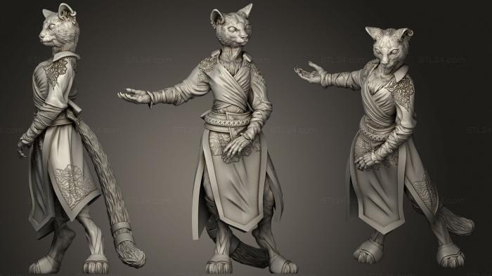 Figurines heroes, monsters and demons (Amalya Tabaxi Monk, STKM_1635) 3D models for cnc