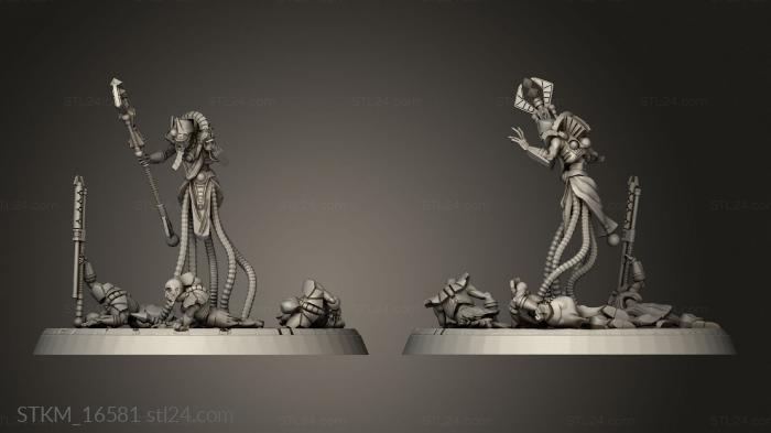 Figurines heroes, monsters and demons (Necroyd Tomb Lords, STKM_16581) 3D models for cnc