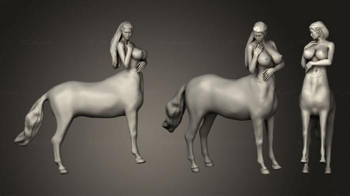 Figurines heroes, monsters and demons (Centaur woman, STKM_2012) 3D models for cnc