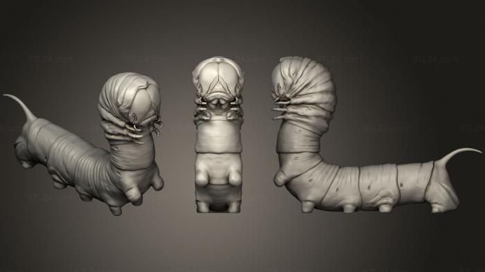 Figurines heroes, monsters and demons (Hawkmoth Caterpillar 2, STKM_2644) 3D models for cnc