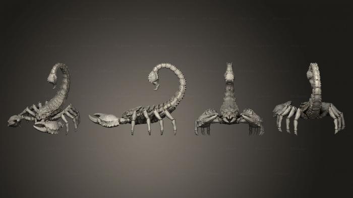 Figurines heroes, monsters and demons (Giant Scorpion v 1 Large, STKM_5654) 3D models for cnc
