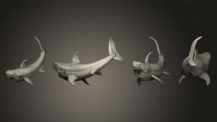 Статуэтки герои, монстры и демоны (Большая Белая Акула, STKM_5743) 3D модель для ЧПУ станка