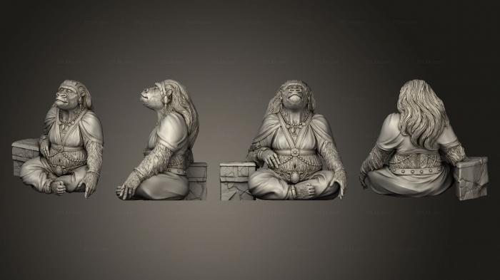 Статуэтки герои, монстры и демоны (Жена Короля обезьян 75 бесплатных продаж, STKM_6645) 3D модель для ЧПУ станка
