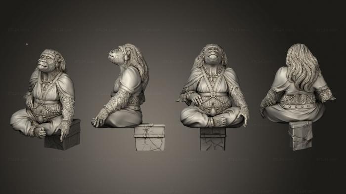 Статуэтки герои, монстры и демоны (Король обезьян-жена 75-летнего, STKM_6646) 3D модель для ЧПУ станка