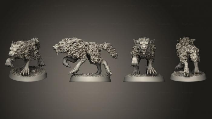The Wilderness Wolves Set of 5 01