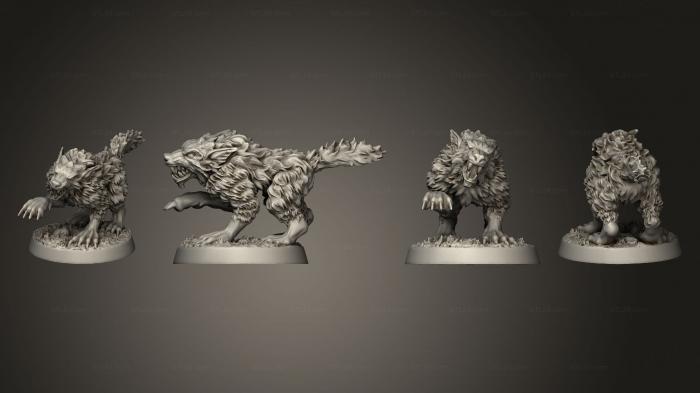 The Wilderness Wolves Set of 5