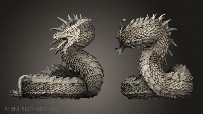 Figurines heroes, monsters and demons (Wyrm, STKM_8822) 3D models for cnc