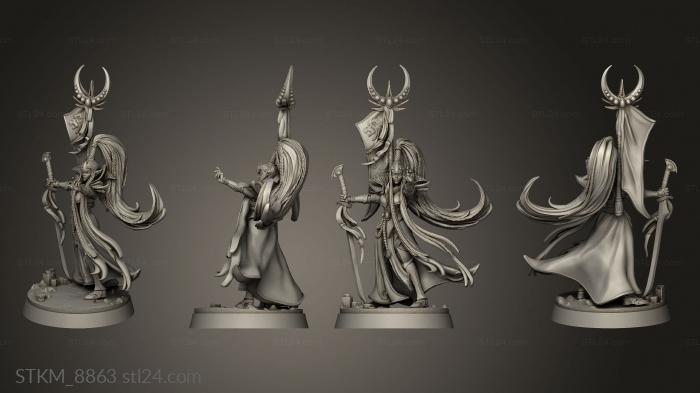 Figurines heroes, monsters and demons (Elves the Eternal Summits II Heroes Melsanthi reme Blade, STKM_8863) 3D models for cnc