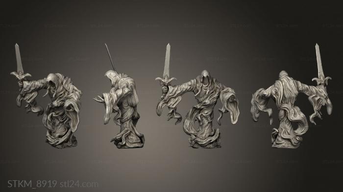 Figurines heroes, monsters and demons (Wraith Sword, STKM_8919) 3D models for cnc