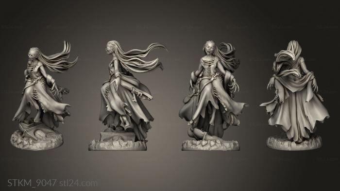 Figurines heroes, monsters and demons (The Evernight Banshee, STKM_9047) 3D models for cnc