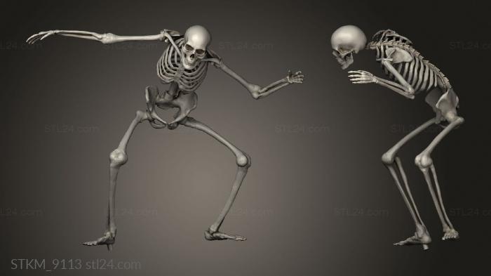 skull surf and skeleton