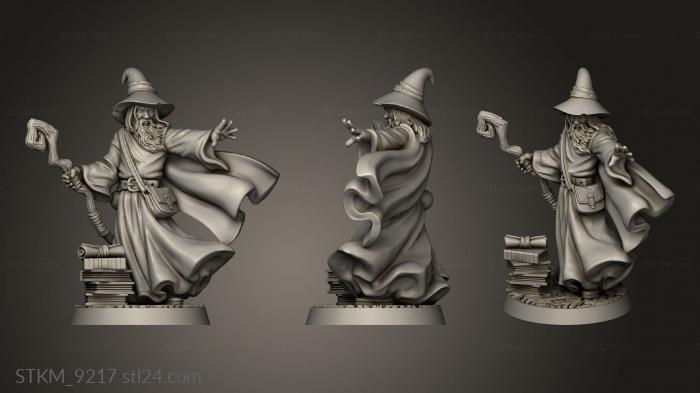 Figurines heroes, monsters and demons (Against the Shadows Starter Mar Amlund Maegon, STKM_9217) 3D models for cnc