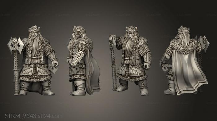 Figurines heroes, monsters and demons (Dwarven King, STKM_9543) 3D models for cnc