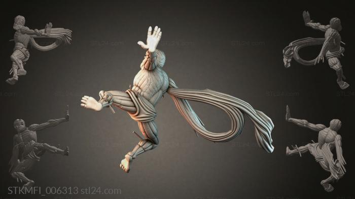 STKMFI_006313