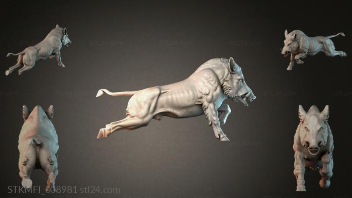 STKMFI_008981