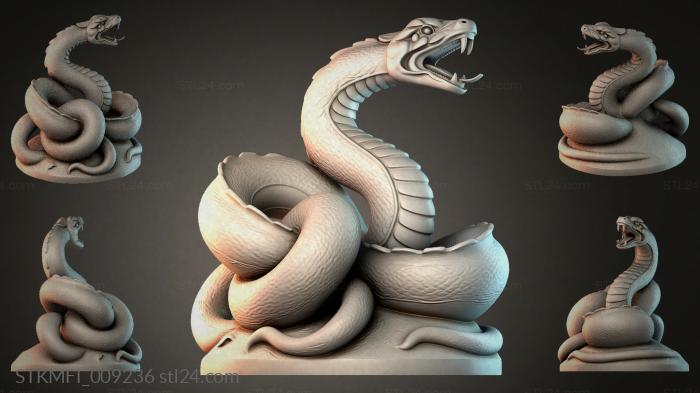 STKMFI_009236