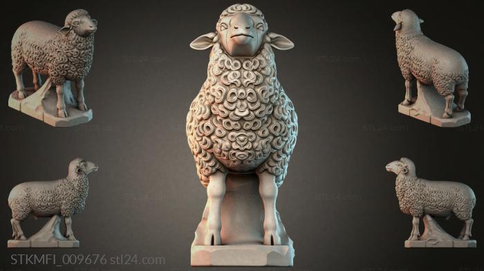 STKMFI_009676