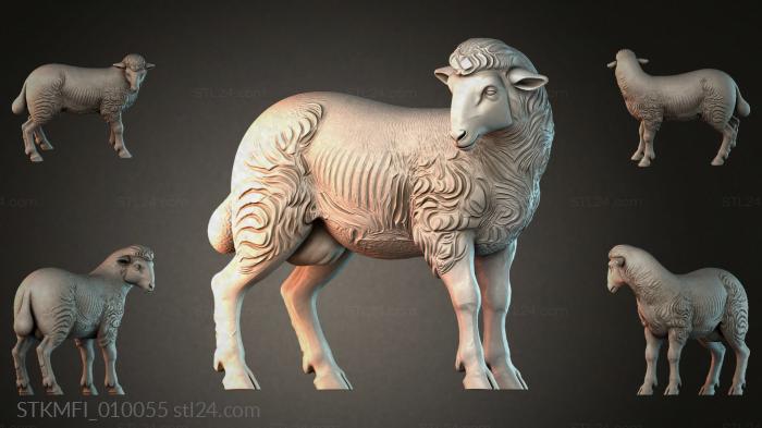 STKMFI_010055