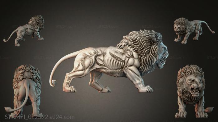 STKMFI_012592