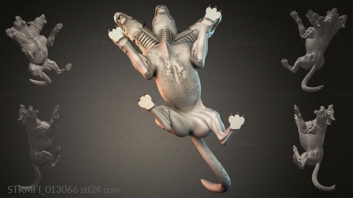 STKMFI_013066