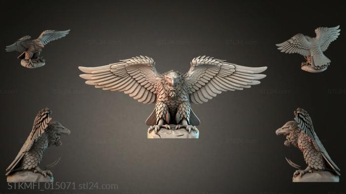 STKMFI_015071