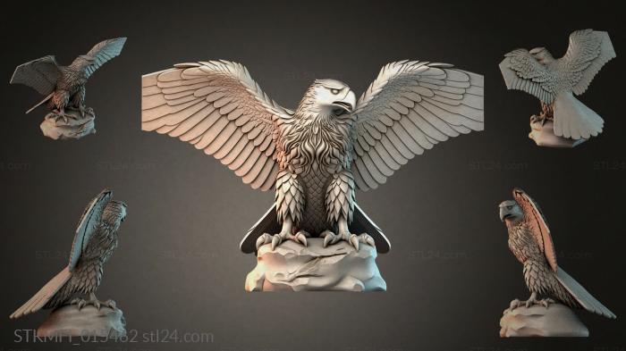 STKMFI_015462