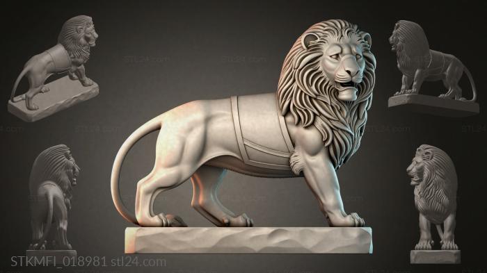STKMFI_018981