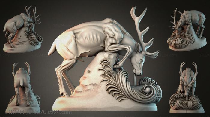 STKMFI_020670