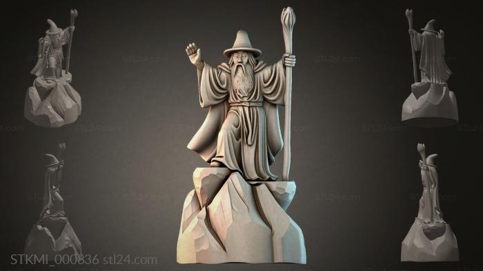 STKMI_000836 3d STL model