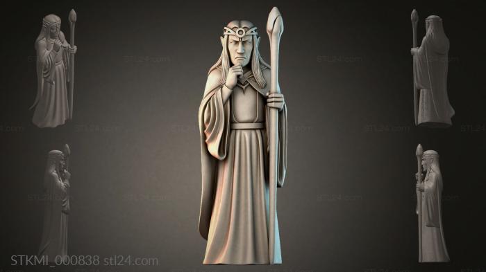 STKMI_000838 3d STL model