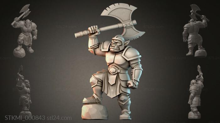 STKMI_000843 3d STL model