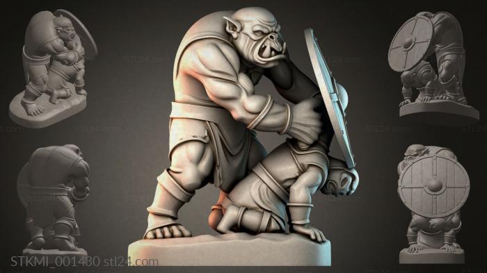 STKMI_001430 3d STL model
