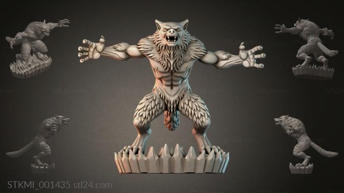 STKMI_001435 3d STL model