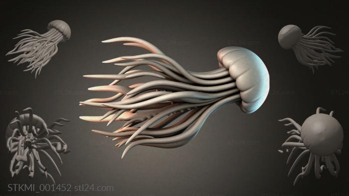 STKMI_001452