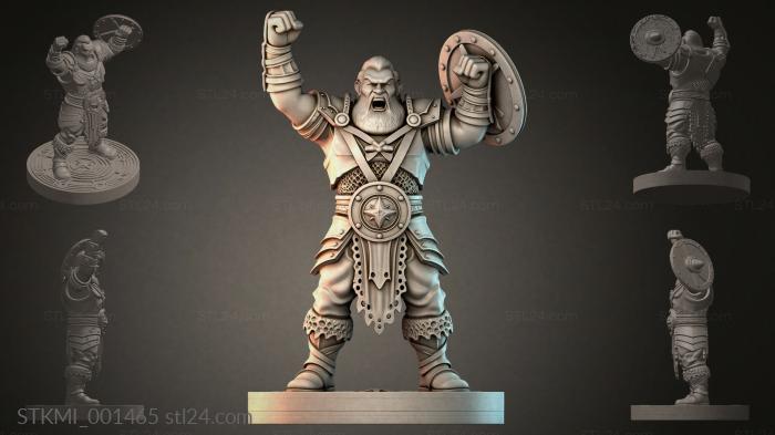 STKMI_001465 3d STL model