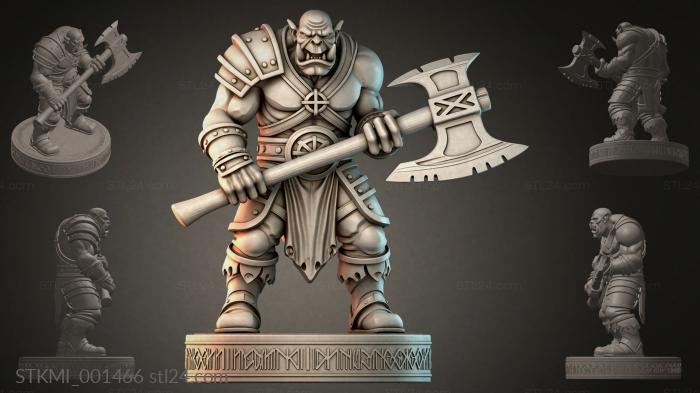 STKMI_001466 3d STL model