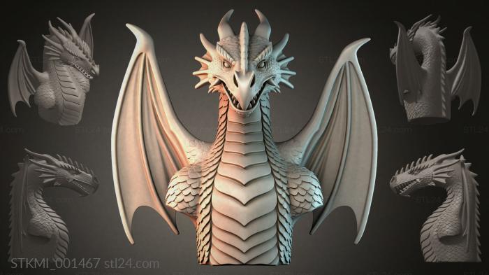 STKMI_001467 3d STL model