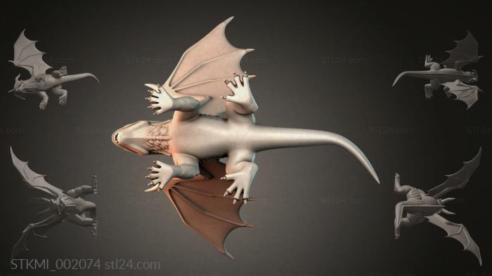 STKMI_002074 3d STL model