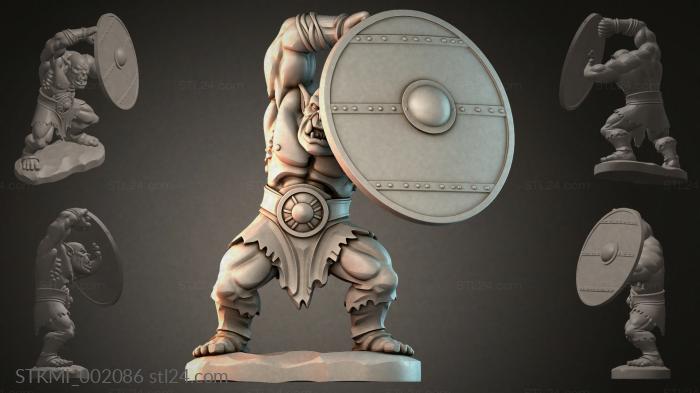 STKMI_002086 3d STL model