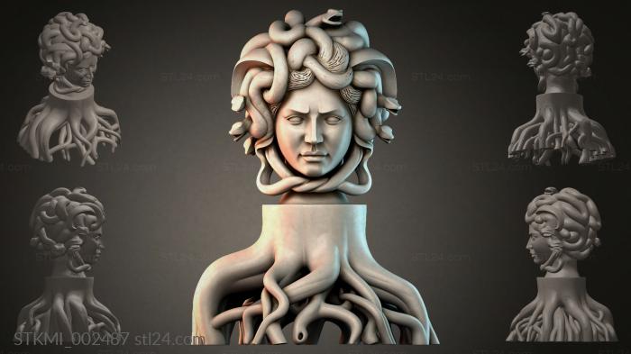 STKMI_002487