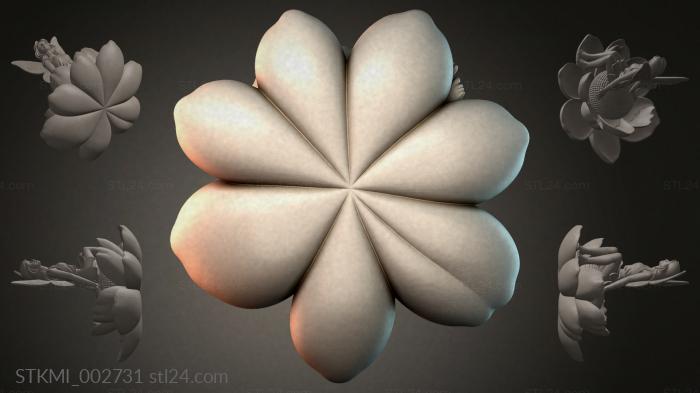 STKMI_002731