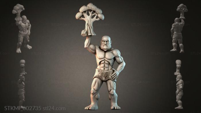 STKMI_002735 3d STL model