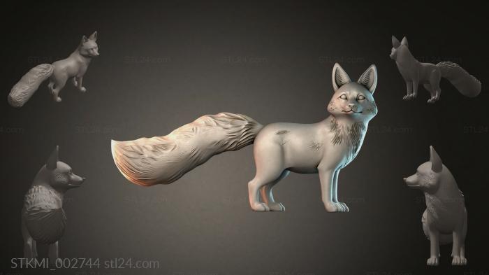 STKMI_002744