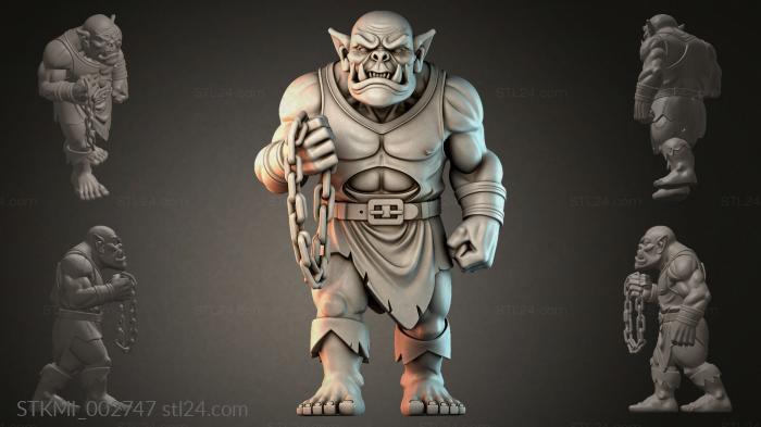 STKMI_002747 3d STL model