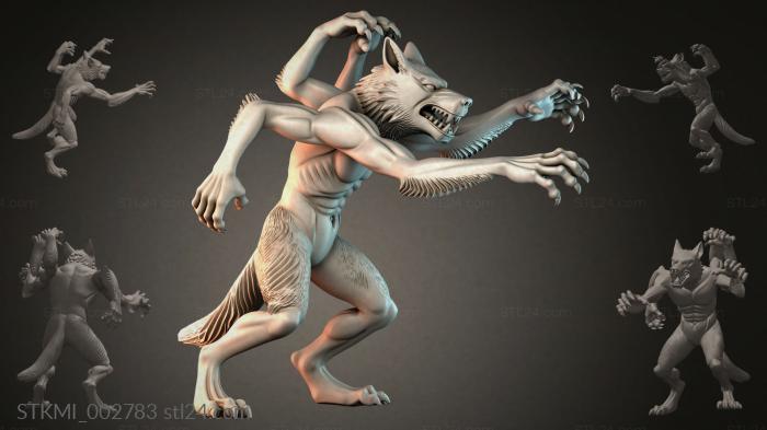 STKMI_002783 3d STL model