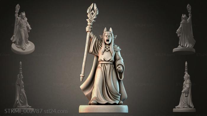 STKMI_002787 3d STL model