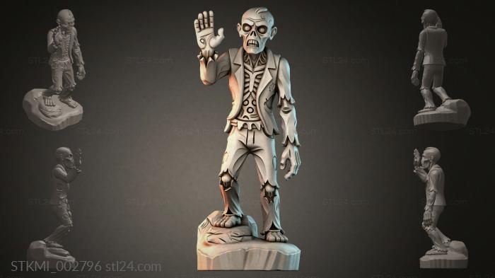 STKMI_002796 3d STL model