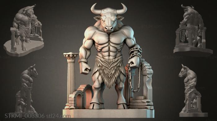 STKMI_003306 3d STL model