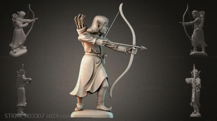 STKMI_003307 3d STL model